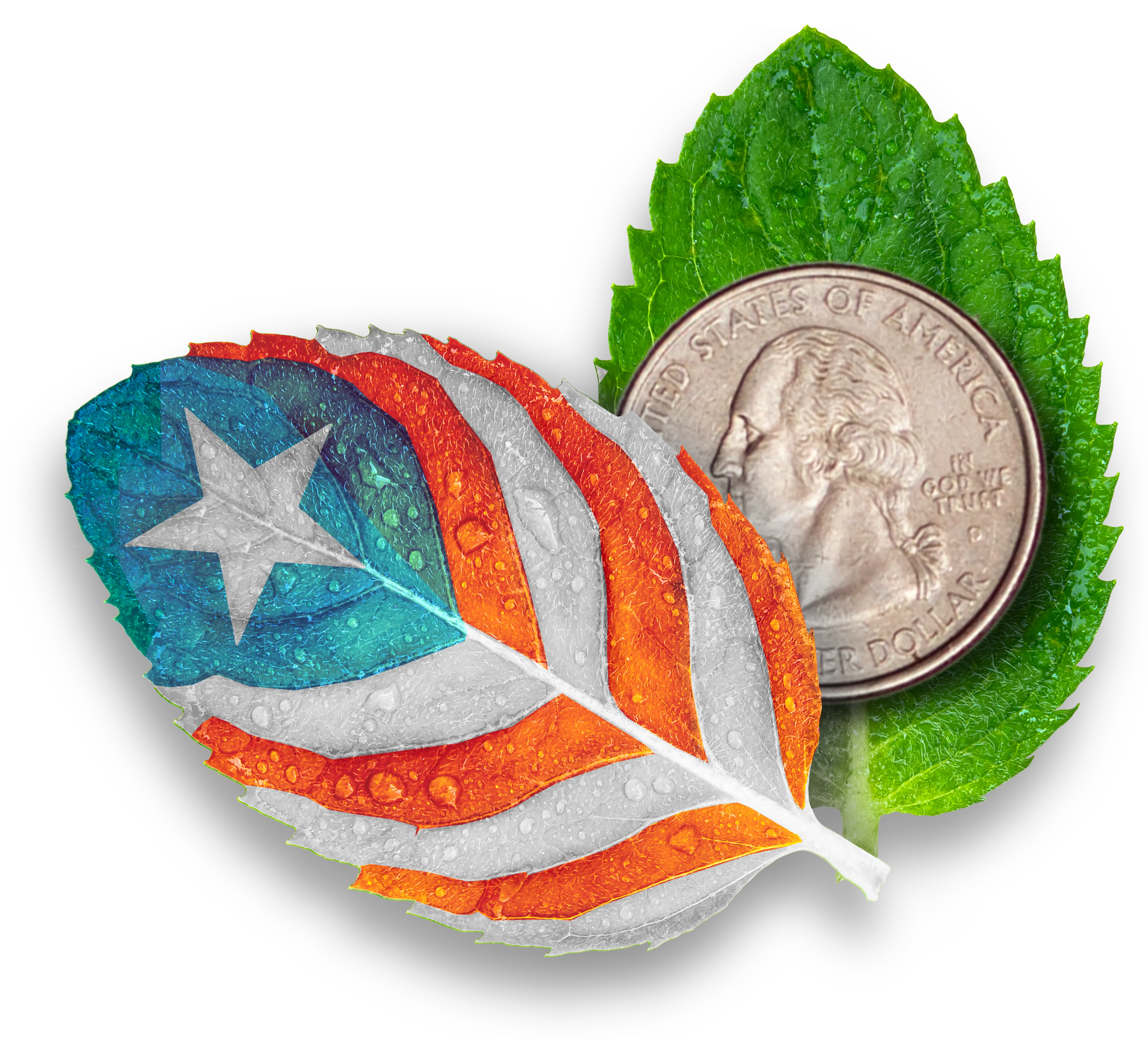 Inversionistas de Puerto Rico - Hoja con bandera, menta y moneda